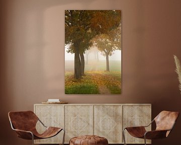 Herfst loofbomen gehuld in mist van Anselm Ziegler Photography