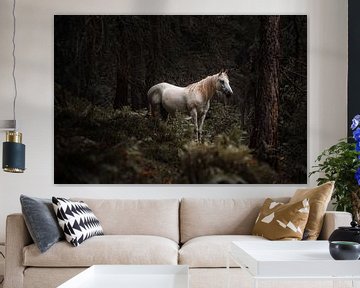 Wit Paard van Andreas Vanhoutte
