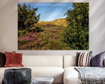 View into the heath on Amrum by Alexander Wolff