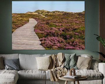 Boardwalk through the heath near Norddorf by Alexander Wolff