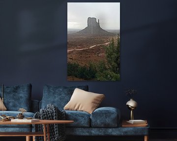 Monument Valley van Jan de Jong