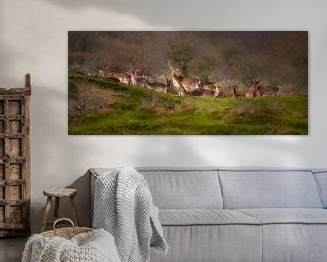 Flock of fallow deer in the Amsterdam Water Supply Dunes by Leon Brouwer