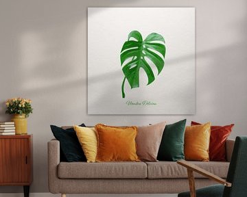 Monstera Deliciosa van beangrphx Illustration and paintings