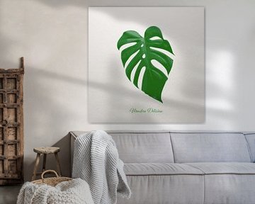 Monstera Deliciosa sur beangrphx Illustration and paintings