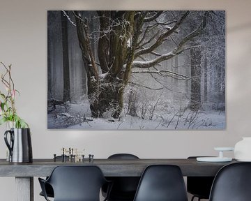 Wintermärchen Baum von Jürgen Schmittdiel Photography