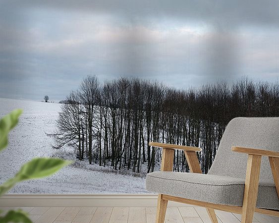 Raumvorschau