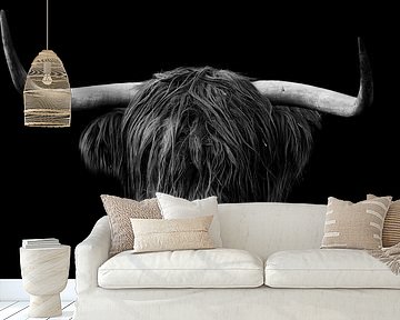 Highland cattle head by Thomas Marx