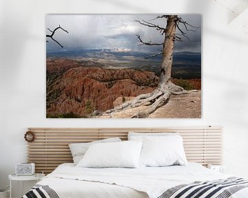 Bryce Canyon van Jan de Jong