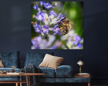 Macrofoto van een bij op een blauwe bloem van ManfredFotos