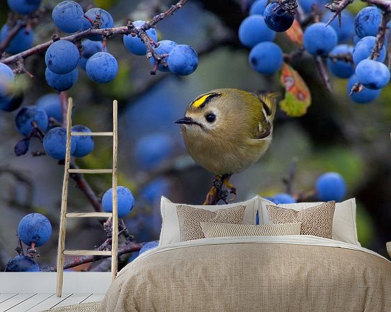 Aperçu de la chambre