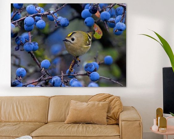 Aperçu de la chambre