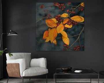 Orange leaves with berries. by Saskia Schotanus