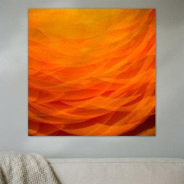 Orange 1 sur Jose Gieskes