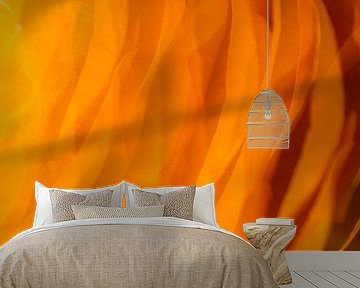 Orange 2 by Jose Gieskes