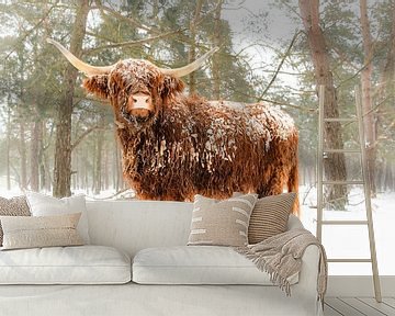 Portret van een Schotse Hooglander in de sneeuw in het bos van Sjoerd van der Wal Fotografie