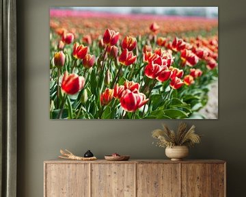 Champ de tulipes en fleurs sur Rob Donders Beeldende kunst