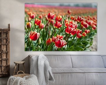 Blühendes Tulpenfeld von Rob Donders Beeldende kunst