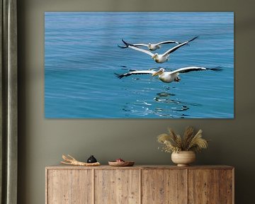 Pelikanen in Walvisbaai van Marcel Westhoff