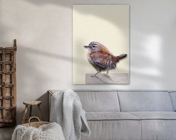winterkoninkje met schaduw vogel illustratie