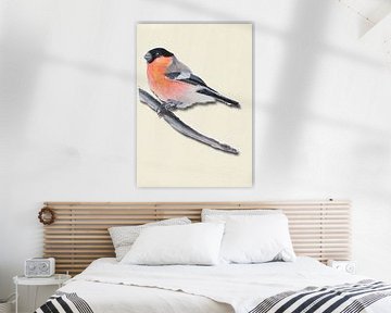 Goudvink met schaduw vogel illustratie van Angela Peters