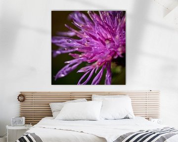 Macro foto van dauwdruppel aan paarse bloem