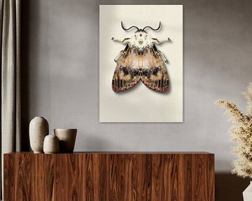 Moth with red dots with shadow insect illustration by Angela Peters