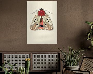 Cream mot met schaduw insecten illustratie van Angela Peters