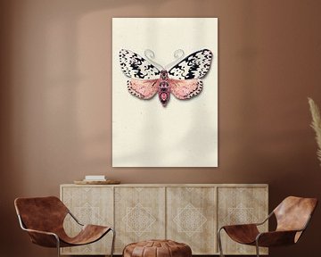 SpeckledCream moth with shadow insects illustration by Angela Peters