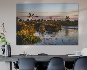 New Dordt Biesbosch during the Golden Hour by Lizanne van Spanje