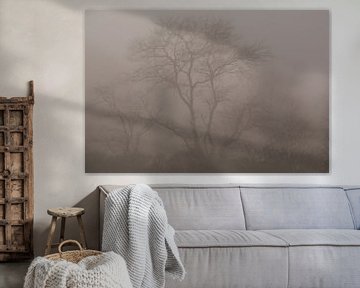 On a foggy Day in the Forest van AudFocus - Audrey van der Hoorn