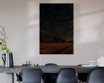 Startrails over het Tulpenveld van AudFocus - Audrey van der Hoorn