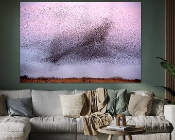 Starling swarm2 by Franke de Jong