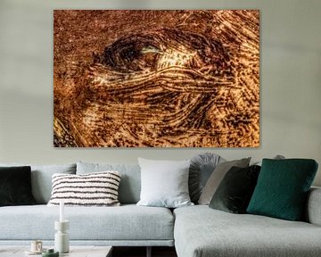 De Nachtwacht”Het Oog van Rembrandt “