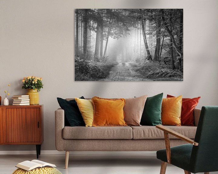 Sfeerimpressie: Bospad in de mist van Pieter Poot