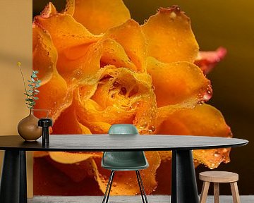 Yellow - orange rose with waterdrops by Marjolijn van den Berg