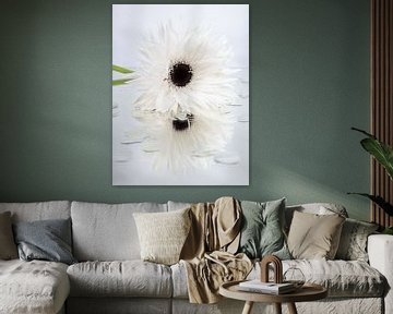 The white Gerbera by Marjolijn van den Berg