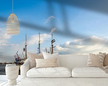 Segelschiff auf Elbe im Hafen Hamburg von Dieter Walther