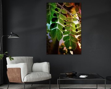 Green leaves with backlight by Klik! Images