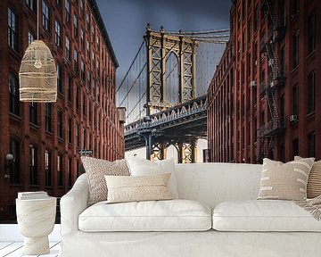 DUMBO, New York van Joris Vanbillemont