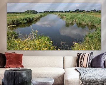 Typisch Hollands landschap: uiterwaarden van de Nederrijn van Rini Kools