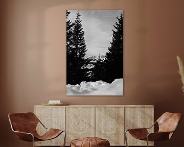 Vue de montagne en noir et blanc parmi les pins sur Fotograaf Elise