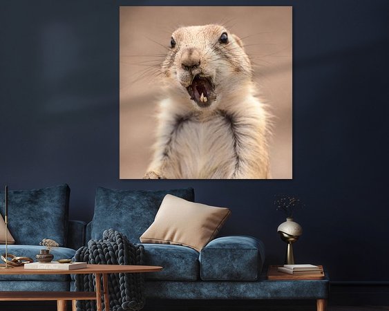 Voorbeeld van het werk in een kamer