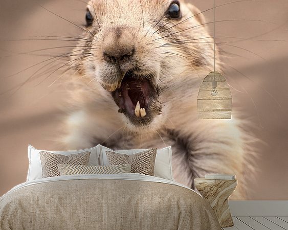 Voorbeeld van het werk in een kamer