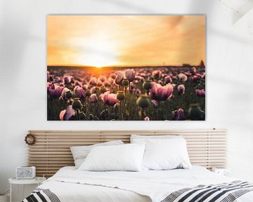 Bloemenzee - Een veld met klaprozen bij zonsopgang van Catrin Grabowski