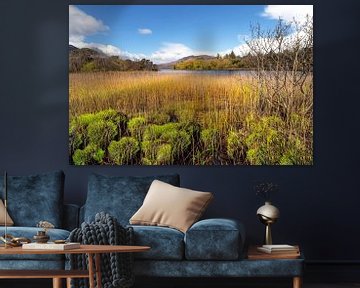Muckross Lake in Killarney National Park, County Kerry, Munster Province, Ierland van Mieneke Andeweg-van Rijn