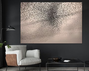 Starling swarm3 by Franke de Jong