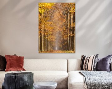 Autumn
