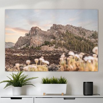 Zerklüftete Landschaft auf Teneriffa