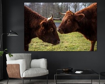 Jersey cows by Franke de Jong