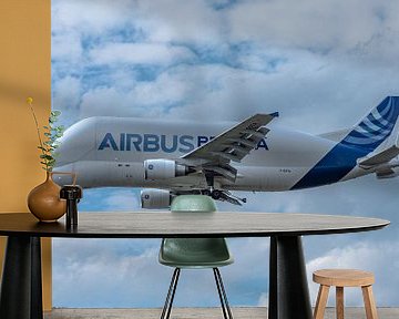 De Airbus Beluga nummer 1 staat op het punt om te gaan landen op Hamburg-Finkenwerder. van Jaap van den Berg